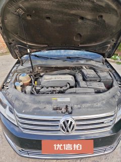 2015 Volkswagen Magotan 2015 1.8T AT Leading #14