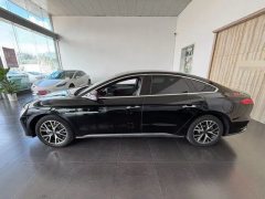 2022 BYD E9 2022 Business #3