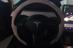 2020 Tesla Model 3 2020 StandardBattery lifeRWDUpgradeEdition #15