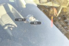 Windshield