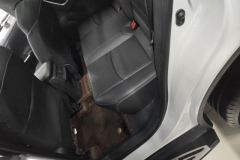 2024 Toyota RAV4 2023 2.0L AT CVT2WDfashionplusEdition #11