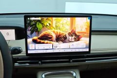 2025 Wuling Motors Wuling Bingo S 2025 430km Flagship #13