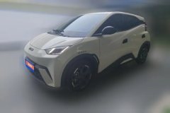 2024 BYD Seagull 2025 305km freeEdition #1