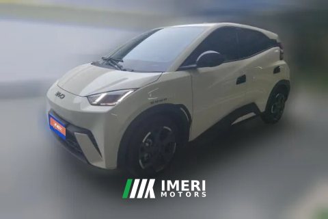 2024 BYD Seagull 2025 305km freeEdition