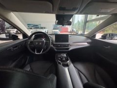 2023 Hongqi E-QM5 2023 620km PLUS #6