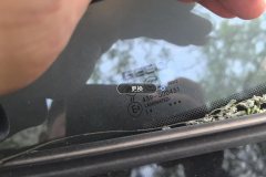 Windshield