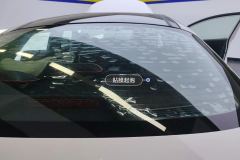Rear Windshield