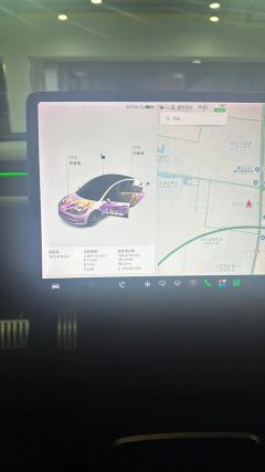 2021 Tesla Model 3 2021 PerformancehighPerformanceall wheel driveEdition #11
