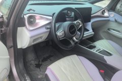 2024 BYD Dolphin 2025 520km knightEdition #12