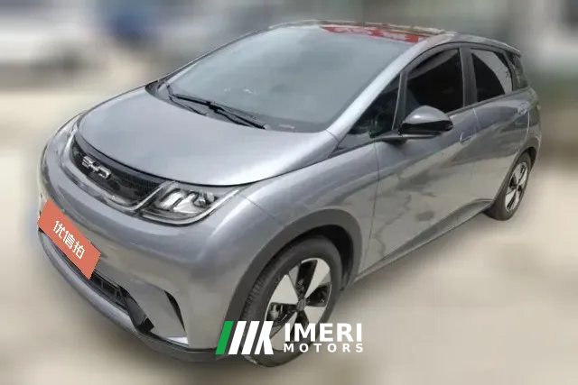 2023 BYD Dolphin 2023 420km Fashion