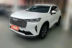 2024 Haval H6 2022 No.3generation 1.5T AT 2WDMax #1