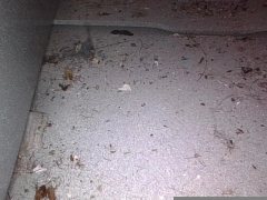 Left Floor Cross Member Inner