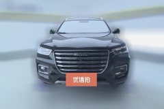 2019 Haval H6 2020 1.5T AT PlatinumChampion #2