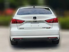 2021 Chang'an Ruicheng CC 2021 1.5T AT Blue WhaleEditionElite #10
