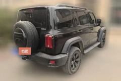 2023 Tank 300 2023 Off-road 2.0T AT conqueror #3