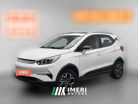 2021 BYD Yuan Pro 2021 401KM Premium
