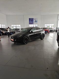 2021 Tesla Model Y 2021StandardBattery lifeRWDEdition #2