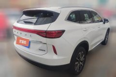 2023 Haval H6 2022 No.3generation 1.5T AT 2WDPro #3