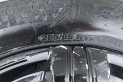 2023 Tank 300 2023 Off-road 2.0T AT conqueror #9