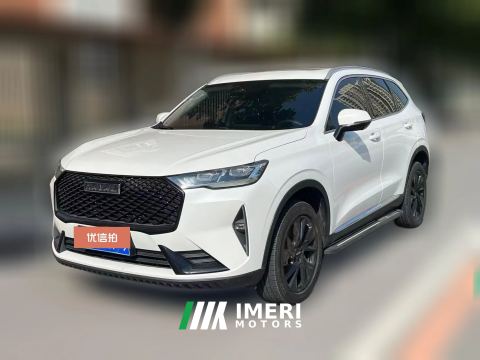 2022 Haval H6 2021 2.0T AT No.3generation2WDMax