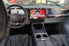 2022 Leapmotor C11 2021 Exclusive #12
