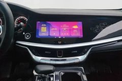 2022 Geely Auto Bo Rui 2021 1.8T Pilot #13