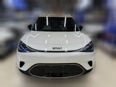 2024 smart #1 2024 Platinum #2