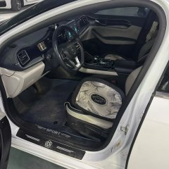 2022 BYD Qin Plus 2021 1.5 AT DM-i 120KM Premium #8