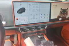 2023 Li Auto Li Auto L9 2022 Max #13