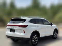 2024 Haval H6 2022 No.3generation 1.5T AT 2WDPro #7