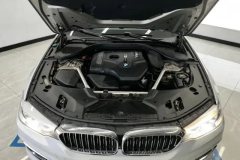 2020 BMW 5 Series 2020 2.0T AT 525LiLuxury Pkg #10