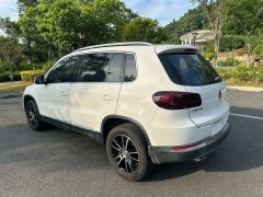 2015 Volkswagen Tiguan 2015 1.8T AT Luxury FWD #21