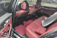 2020 BMW 5 Series 2020 2.0T AT 530LiLeadingLuxury Pkg #11