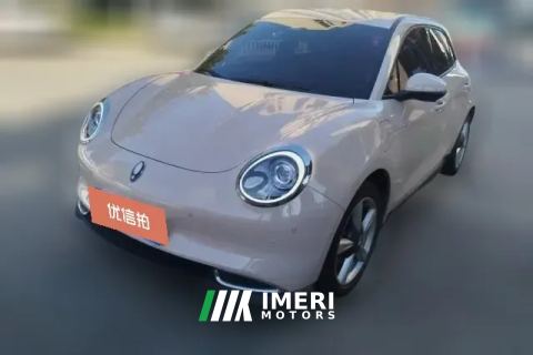 2022 Ora Good Cat 2021 400kmStandardBattery life athenaEdition NMC