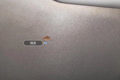 Roof Lining