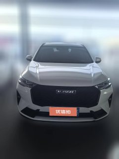 2022 Haval H6 2021 2.0T AT No.3generation4WDMax #2