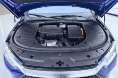 2022 BYD Han 2022 1.5T AT DM-i 121KM Exclusive #10