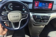 2021 Roewe iMAX8 2021 2.0T AT 400TGISupremeSeriesHonor #12
