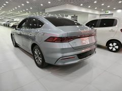 2024 BYD Qin Plus 2023 Champion 1.5 AT DM-i 55KMLeading #6