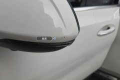Left Exterior Mirror