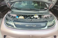 2022 BYD Dolphin 2021 405km Fashion #10