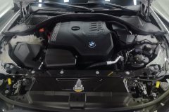 2021 BMW 3 Series 2021 2.0T AT 325Li MSport PkgRWD #10