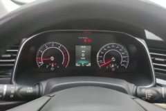 2019 Haval H6 2019 1.5T AT Red LabelChampion #14