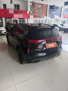 2022 Haval Chitu 2021 1.5T AT ProvokingEdition golden rabbit #5