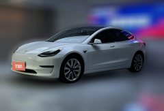 2020 Tesla Model 3 2020 Long Rangerear wheel driveEdition EV #1