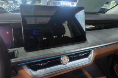 2024 Tank 500 PHEV 2024 Hi4-T 2.0T AT #13
