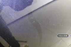 Left Rear Door