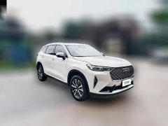 2025 Haval H6 2024 1.5T AT 2WDClassic #4