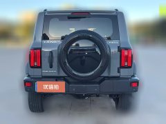 2023 Tank 300 2023 Off-road 2.0T AT conqueror #2