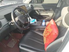 2025 BYD Sea Lion 05 DM-i 2025 1.5L AT DM-i 75KMLuxury #4